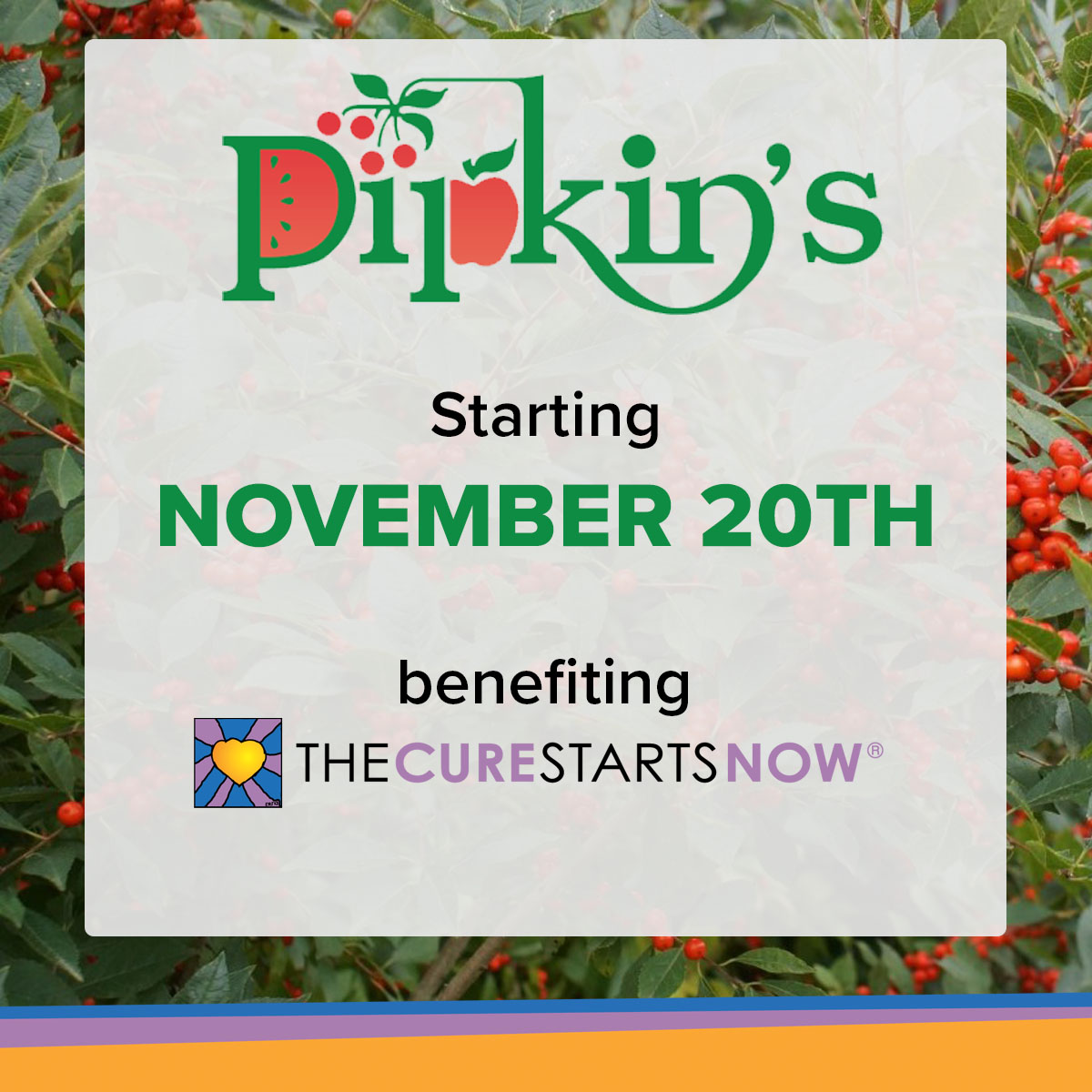 Pipkin's Market Fundraiser