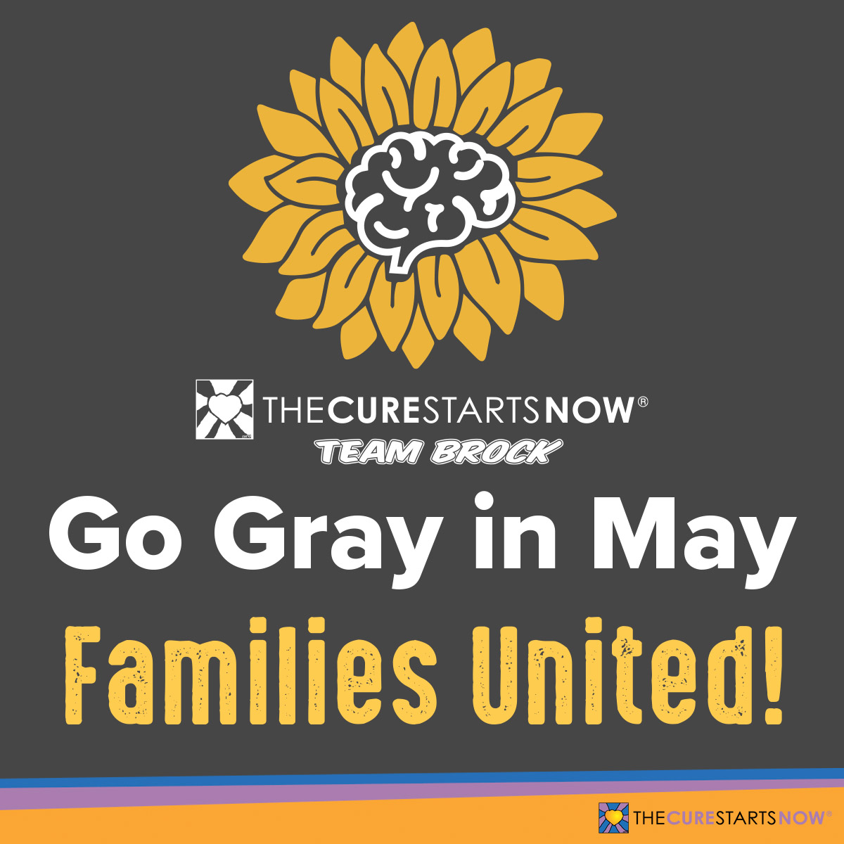 Go Gray in May: Families United!